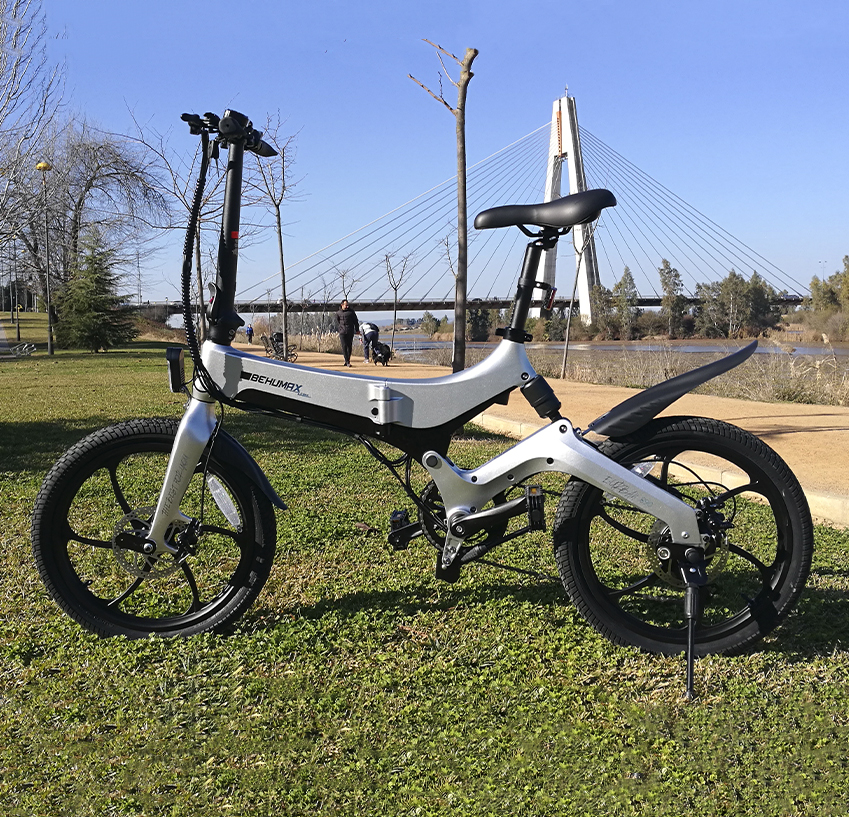 Ciudad Adulto usado bicicleta eléctrica 14 pulgadas ambientalmente amigable  para ahorrar mano de obra Y bicicleta eléctrica sin contaminación - China Bicicleta  eléctrica y scooter eléctrico precio