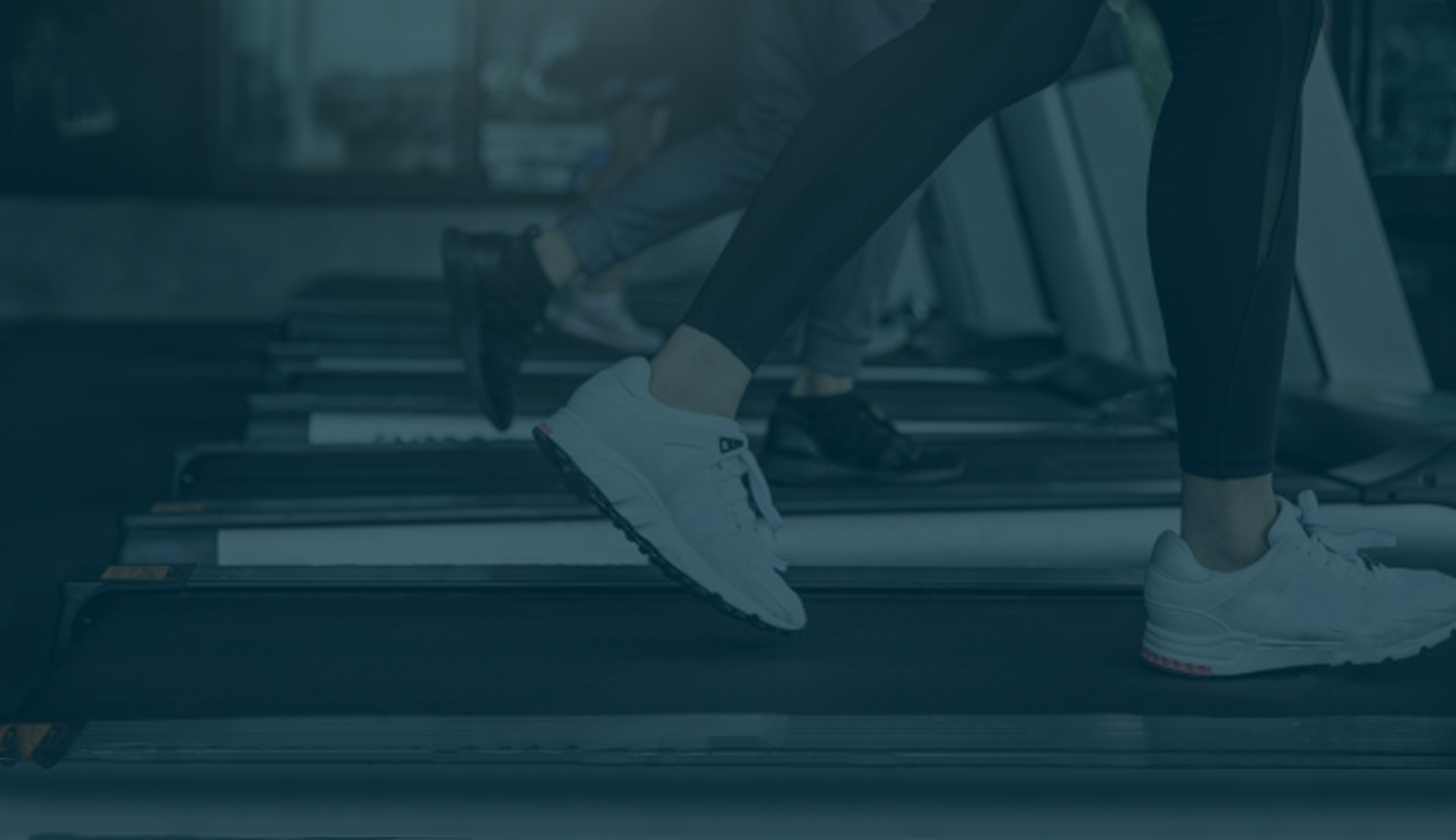Cintas de correr Behumax - Contacto