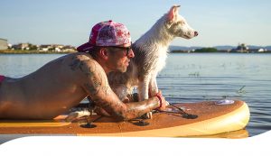 Disfruta del Paddle Surf en compañía de tu mascota