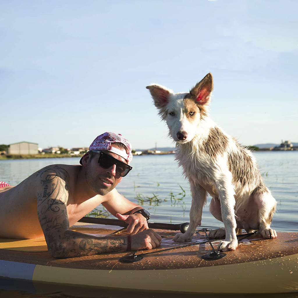 Paddle Surf en compañía de tu mascota